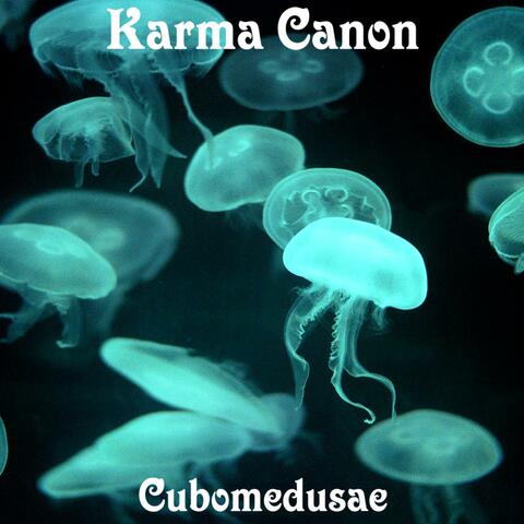 Cubomedusae