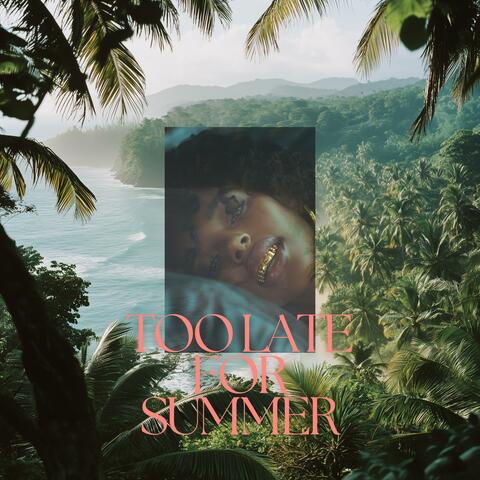 Too Late For Summer