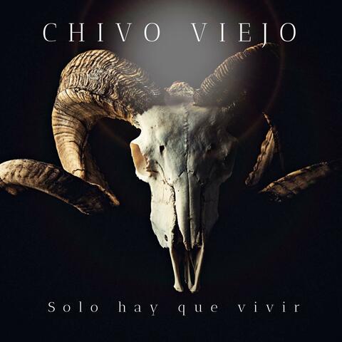 Solo Hay Que Vivir