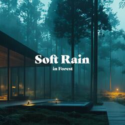 Soft Rain in Forest (Rain Sounds for Deep Sleep and Relaxing, Rain ASMR)