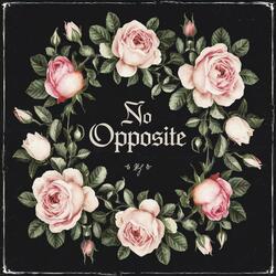 No Opposite