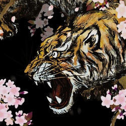 Stomp (feat. STSJXZDEN)