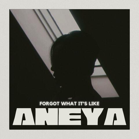 Forgot What it's Like