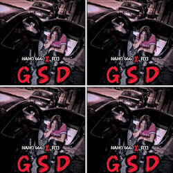 G.S.D (NANO666)