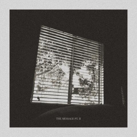 The Message Pt. II