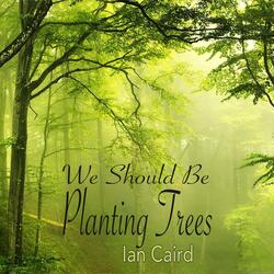 We Should Be Planting Trees