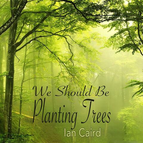 We Should Be Planting Trees