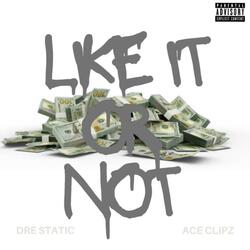 Like It Or Not (feat. Ace Clipz)