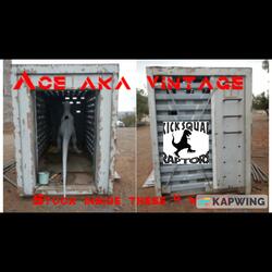 Stuck inside these 4 walls