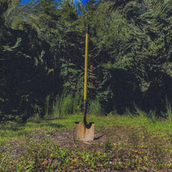 Tell Me What You Need