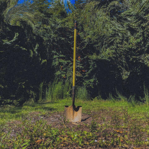 Tell Me What You Need