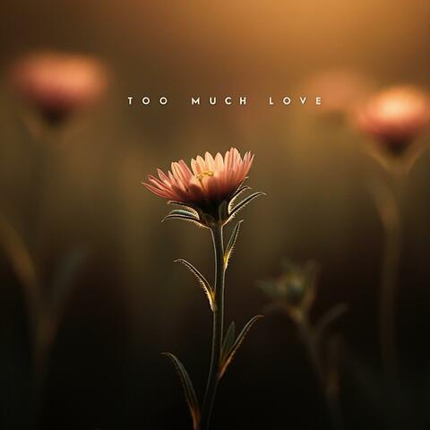 Too Much Love