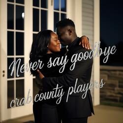 Never Say Goodbye