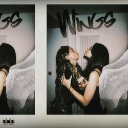 Wings