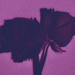 Decay