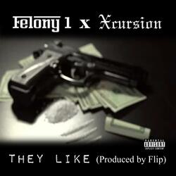 They Like (feat. Felony 1)
