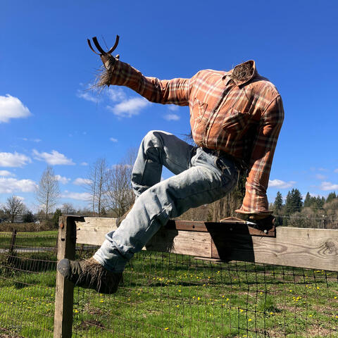 The Scarecrow Saunter