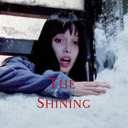 The ShiNing