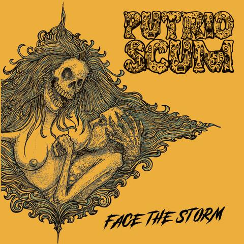 FACE THE STORM