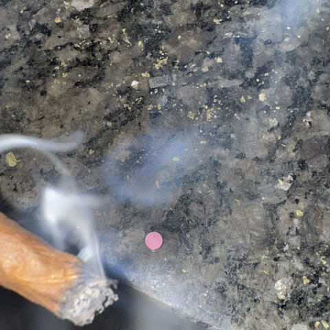 Hot shit jungle boyy