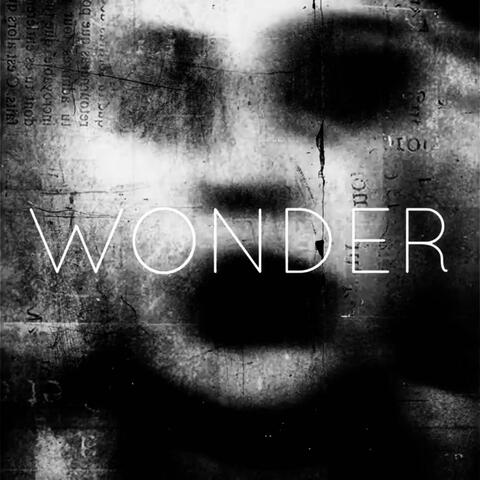 Wonder (feat. Ruelle)