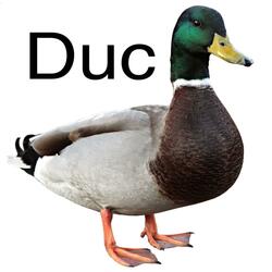 "Quack" (The Duck Song!) (feat. Duck)