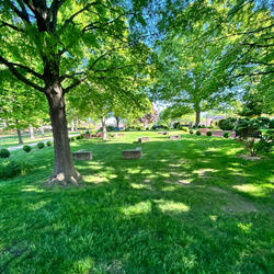 Yo Dreams (feat. Jripey)