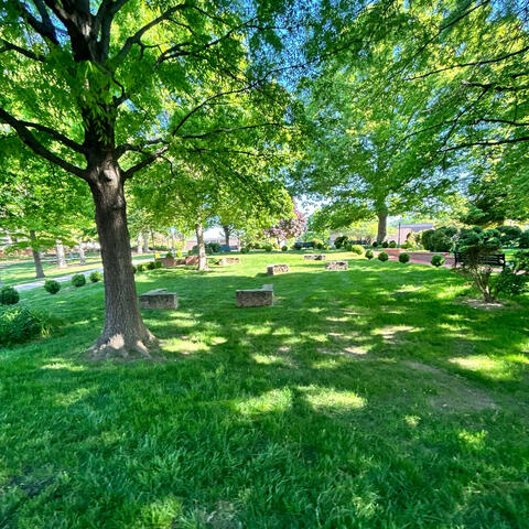 Yo Dreams (feat. Jripey)