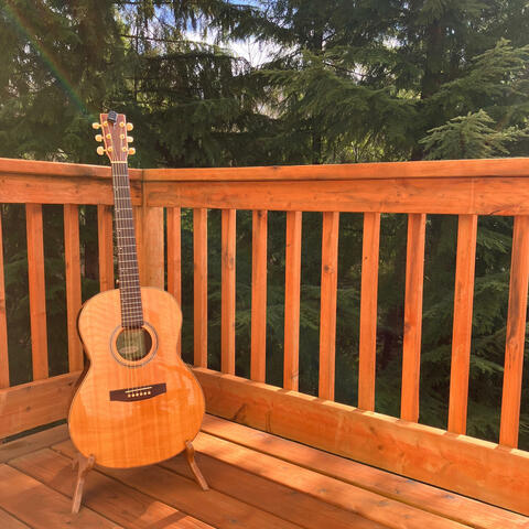 The Acoustic Album