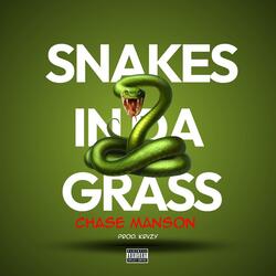 Snakes In Da Grass