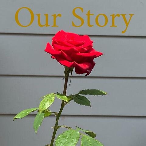Our Story