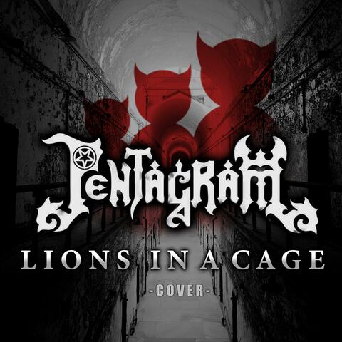 Lions in a Cage