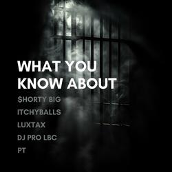 What You Know About (feat. $HORTY BIG, LuxTax, ITCHYBALLS & PT)