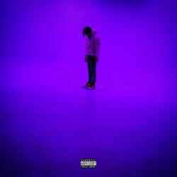 Purple Pages