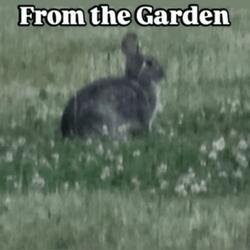 The light behind your eyes