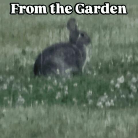From the Garden