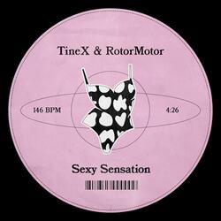 Sexy Sensation (feat. TineX)