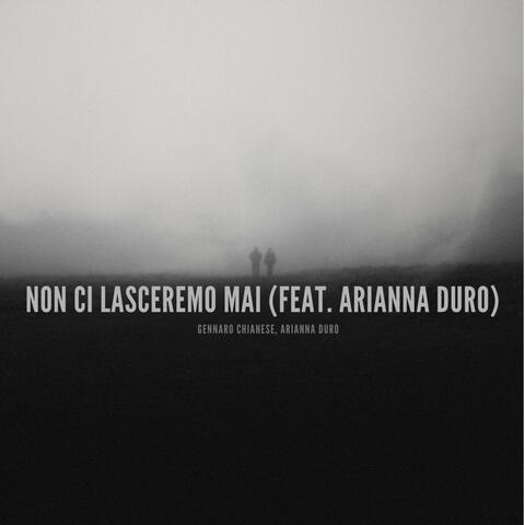 Non ci lasceremo mai (feat. Arianna Duro)
