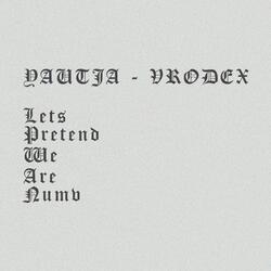 Lets Pretend We Are Numb (feat. Vrodex)
