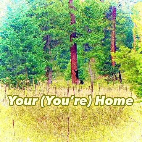 Your (You're) Home