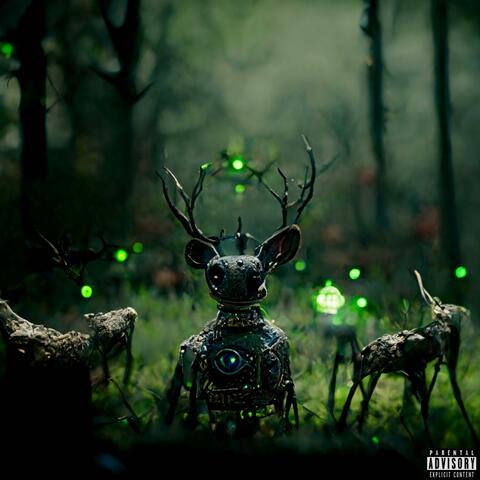Wilds