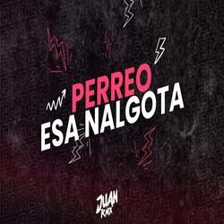 PERREO ESA NALGOTA MIX (feat. Juan Rmx)