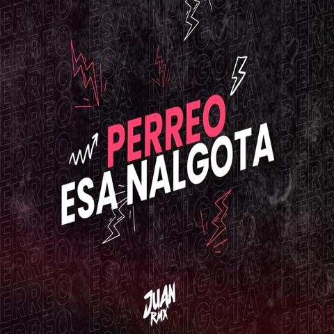 PERREO ESA NALGOTA MIX (feat. Juan Rmx)
