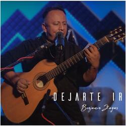 Dejarte Ir
