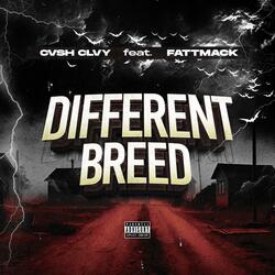 Different Breed (feat. FattMack)