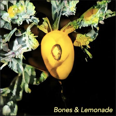 Bones & Lemonade