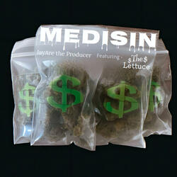 MediSin