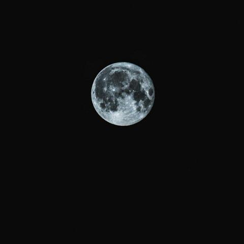 Luna's Dreams (Old Version)