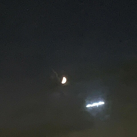 The moon is my savior.