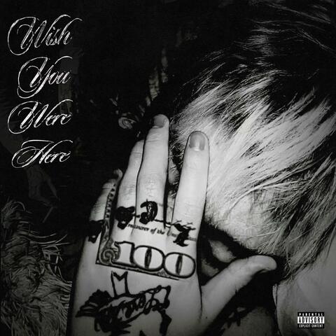 WISH YOU WERE HERE